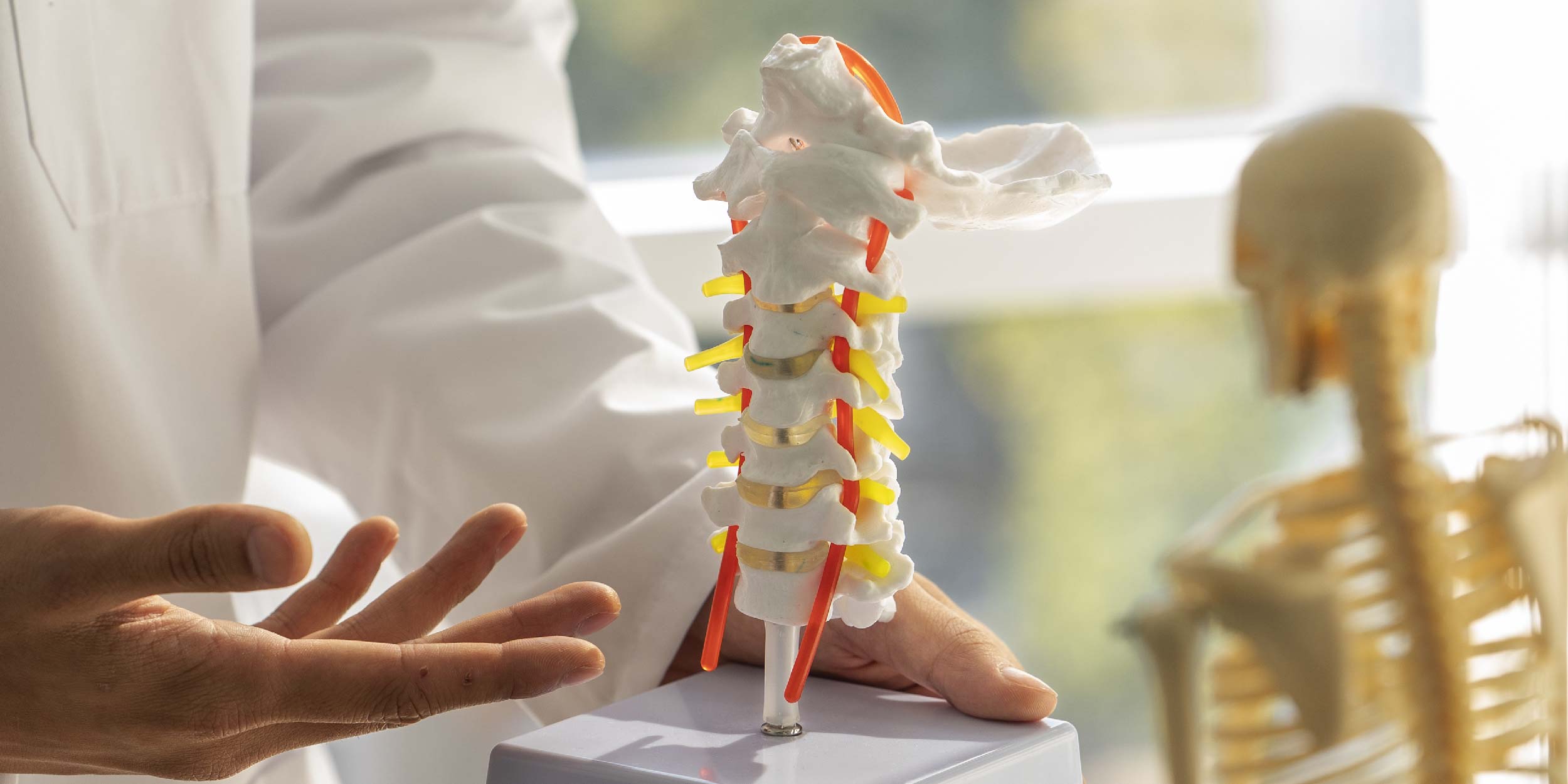 En Clínica Osten, exploramos las causas, síntomas y tratamientos de la Osteoporosis, enfermedad que debilita los huesos y aumenta el riesgo de fracturas.